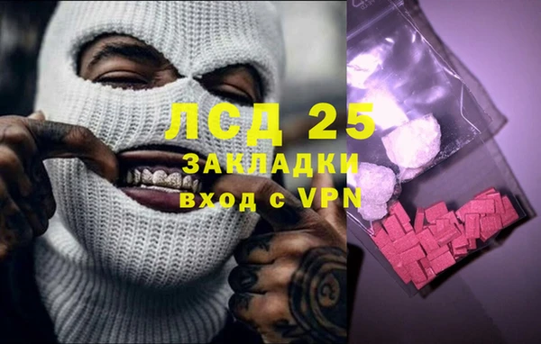 индика Алзамай