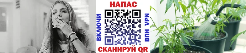 МАРИХУАНА SATIVA & INDICA  Верхняя Салда 